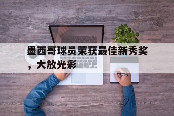 关于墨西哥球员荣获最佳新秀奖,大放光彩的信息